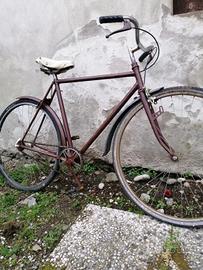 bicicletta uomo