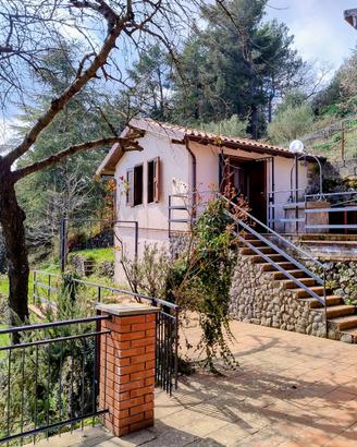 Etna Nord Proprietà panoramica con due unità immob