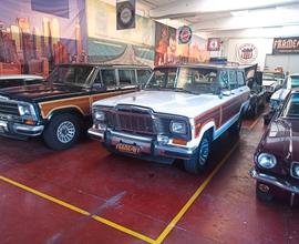 Jeep Wagoneer v8 l6