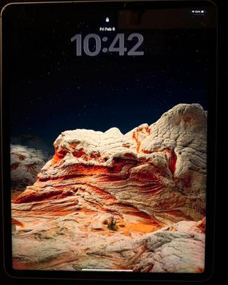 iPad Pro 12.9’’ M1