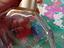 Immagine 4