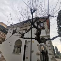 Appartamento Torri del Benaco