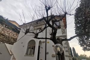 Appartamento Torri del Benaco