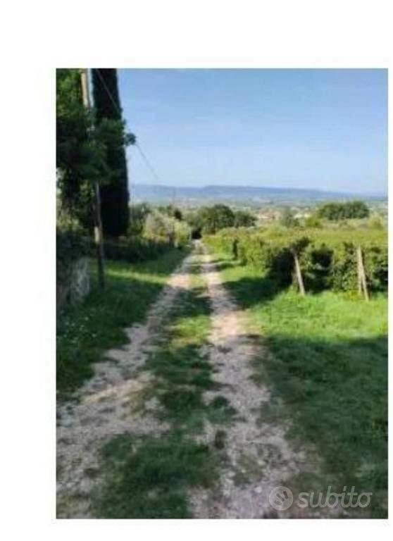 Immobile in asta di 7490 m² a Spello - Vista 3