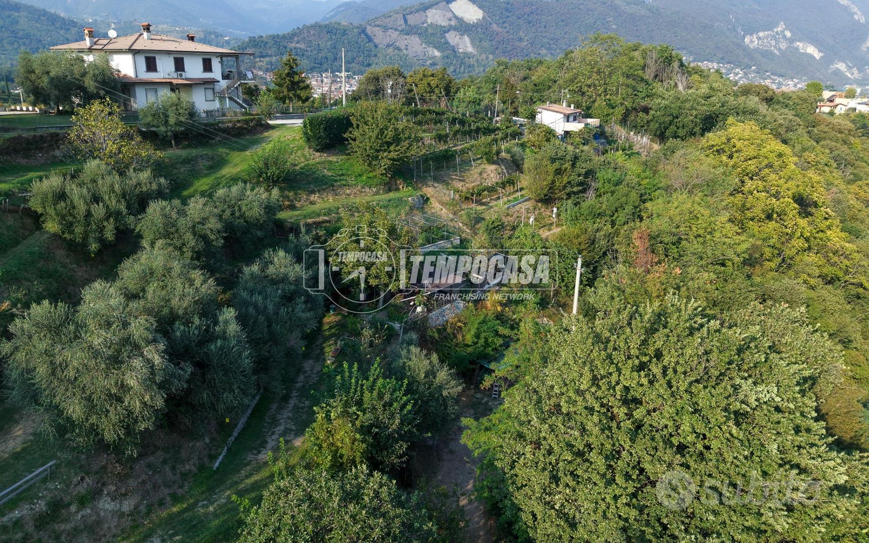 TERRENO AGRICOLO CON VISTA LAGO - Altro