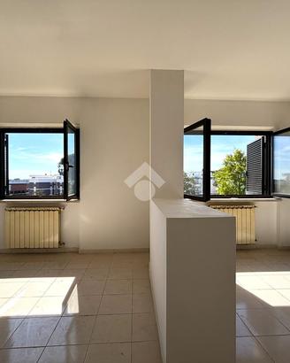 2 LOCALI A NETTUNO