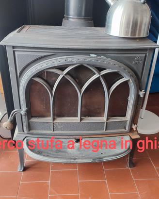 interessato a stufa a legna in ghisa