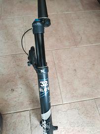 forcella 29 fox