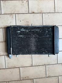 Radiatore aprilia rs 125