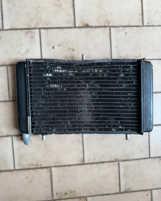 Radiatore aprilia rs 125