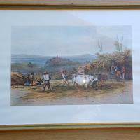 stampa che illusta scena di campagna XIX secol
