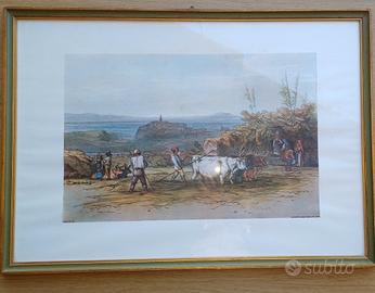 stampa che illusta scena di campagna XIX secol