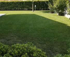 Rif.1026| villa gossolengo