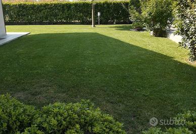 Rif.1026| villa gossolengo