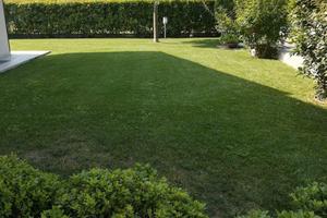 Rif.1026| villa gossolengo