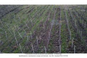 Terreno Agricolo Rovescala [A4324235]