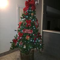 Albero di Natale 180 cm