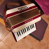 fisarmonica  piccola e grande  insieme