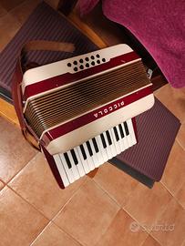 fisarmonica  piccola e grande  insieme