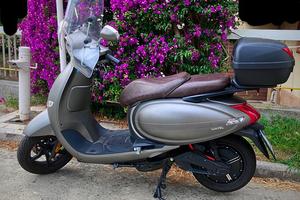 Wayel scooter elettrico praticamente nuovo