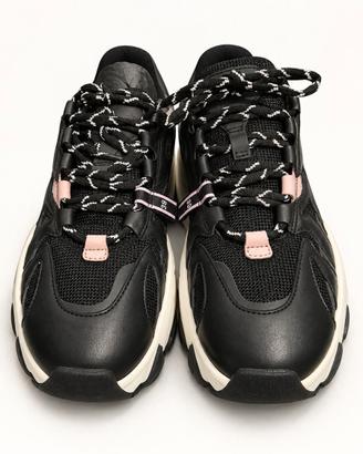 ASH Extreme Nero Chunky Sneakers mis. 39