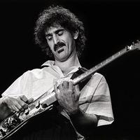collezione 450 cd Frank ZAPPA