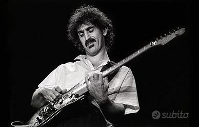 collezione 450 cd Frank ZAPPA