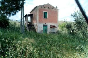 Terreno e casolare