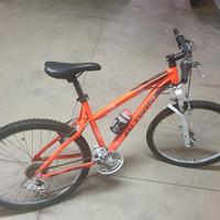 Mountain bike uomo