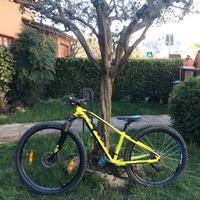 Bici mtb scott