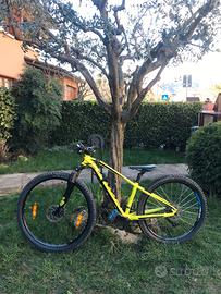 Bici mtb scott