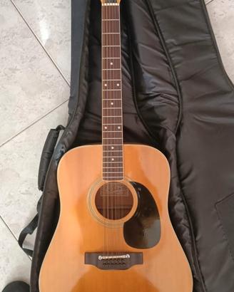 chitarra acustica 12 corde