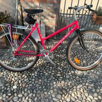 Mtb donna