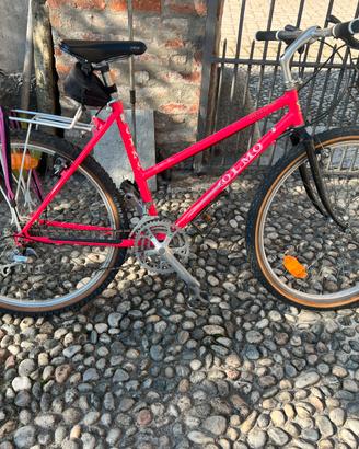 Mtb donna