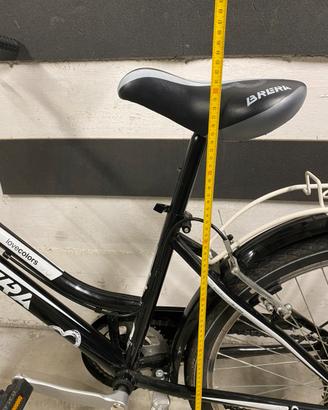 Bicicletta ragazza 24 pollici