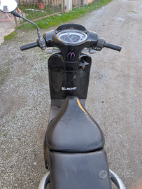 Aprilia scarabeo anno 2018