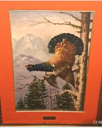 quadro Gallo Cedrone di Bepo Driussi