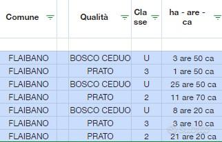 Terreni boschivi per legna