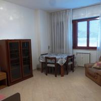 Stanza per Ragazza -libera da metà Marzo