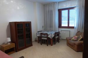 Stanza per Ragazza -libera da metà Marzo