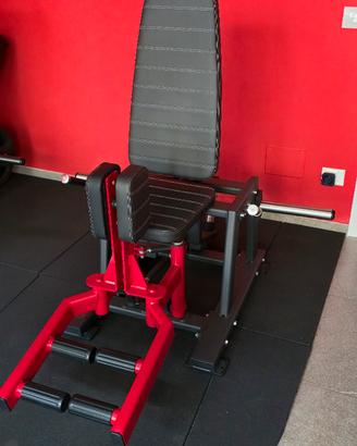 Dual Machine Abductor/Adductor professionale