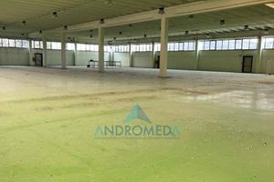 Immobile di 6250 m² a Giove