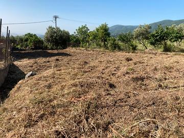 Terreno di circa 1000 mq San Demetrio Petilia Pol