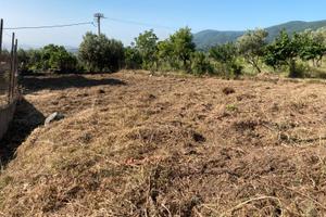 Terreno di circa 1000 mq San Demetrio Petilia Pol