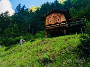 Piccola baita in Cadore