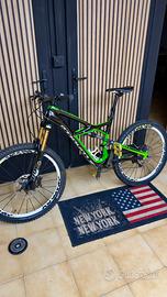 Specialized Stumpjumper enduro Expert Carbon EVO