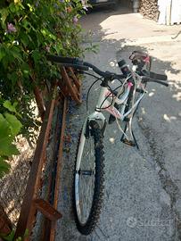 Bicicletta bambina 12/15 anni