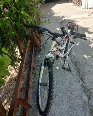 Bicicletta bambina 12/15 anni
