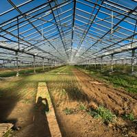 Terreno agricolo (industriale)
