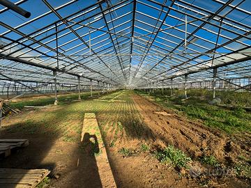 Terreno agricolo (industriale)